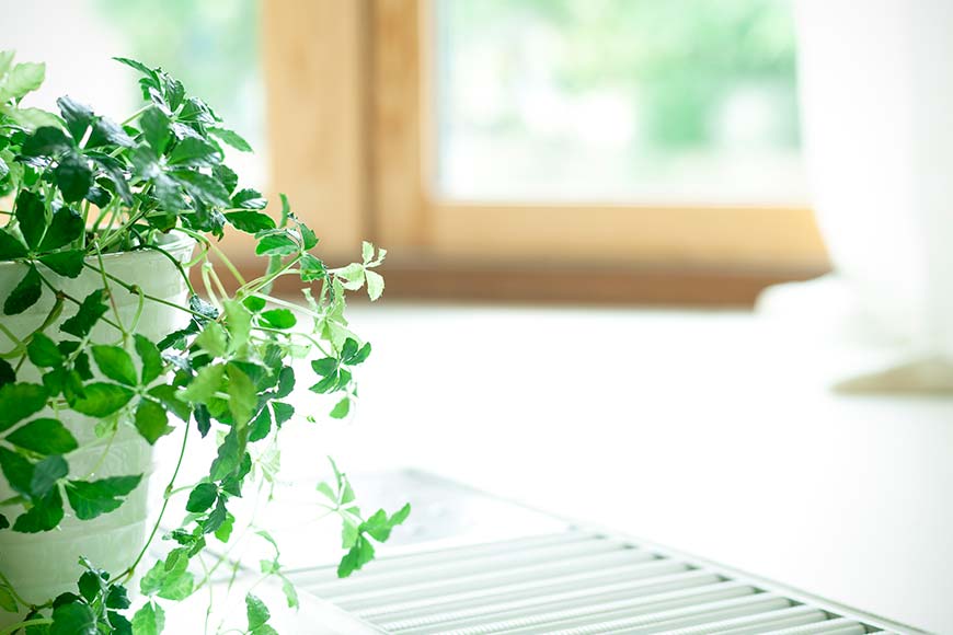 院長・スタッフ